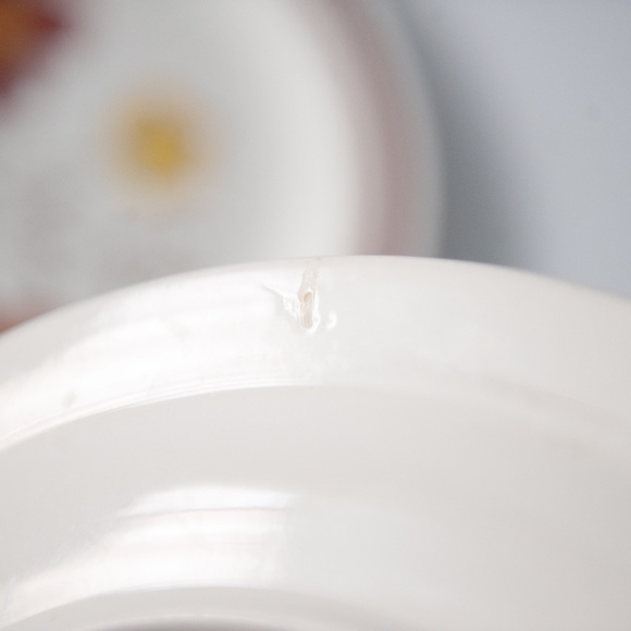 Set of 2 Vintage Lunastone Forest Flower Floral Stoneware 10 5/8" Dinner Plates - Picture 11 of 12